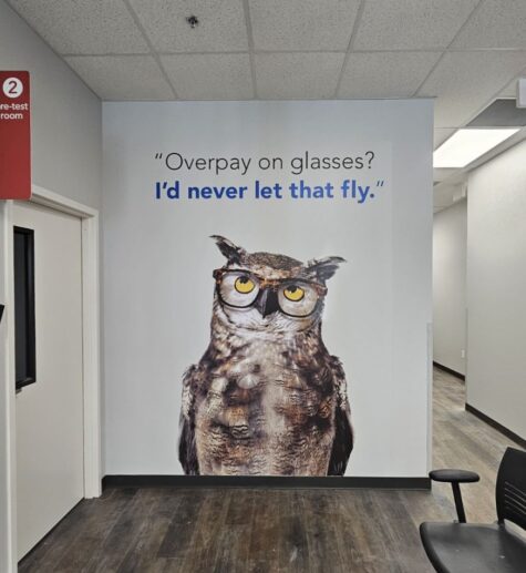 Photo of owl with glasses vinyl mounted to drywall for America's Best located in Fredericksburg, VA. Graphic installed by Distinct Sign Solutions in Fredericksburg, VA